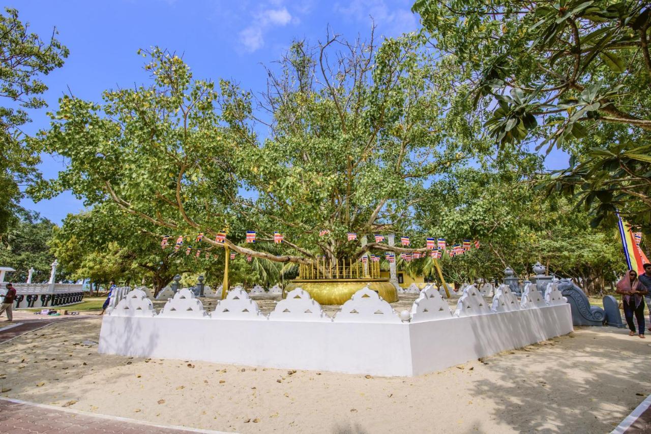 Thambu Illam Hotel Jaffna Exterior photo
